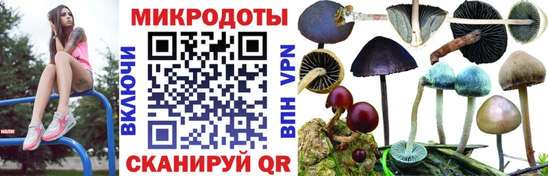купить наркотики сайты  Ржев  MEGA вход  нарко площадка наркотические препараты  Галлюциногенные грибы Magic Shrooms 